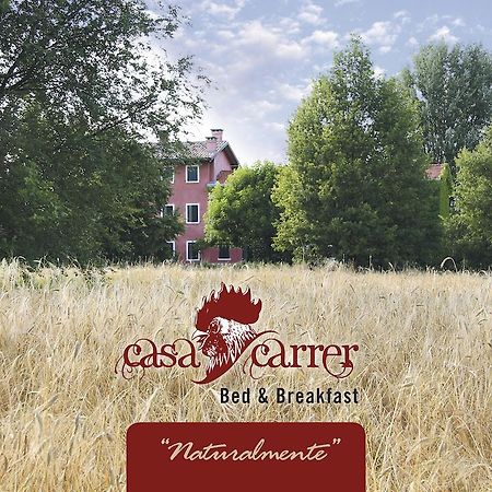 Casa Carrer B&B San Giovanni di Livenza Ngoại thất bức ảnh